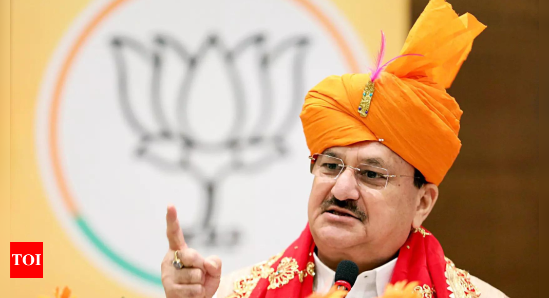 ‘Infiltrators grabbing land under JMM rule’: JP Nadda rips into Hemant Soren’s party in Jharkhand | India News