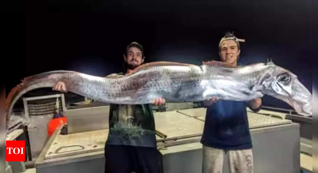 Why are Oarfish called Doomsday Fish and do they really warn of an earthquake